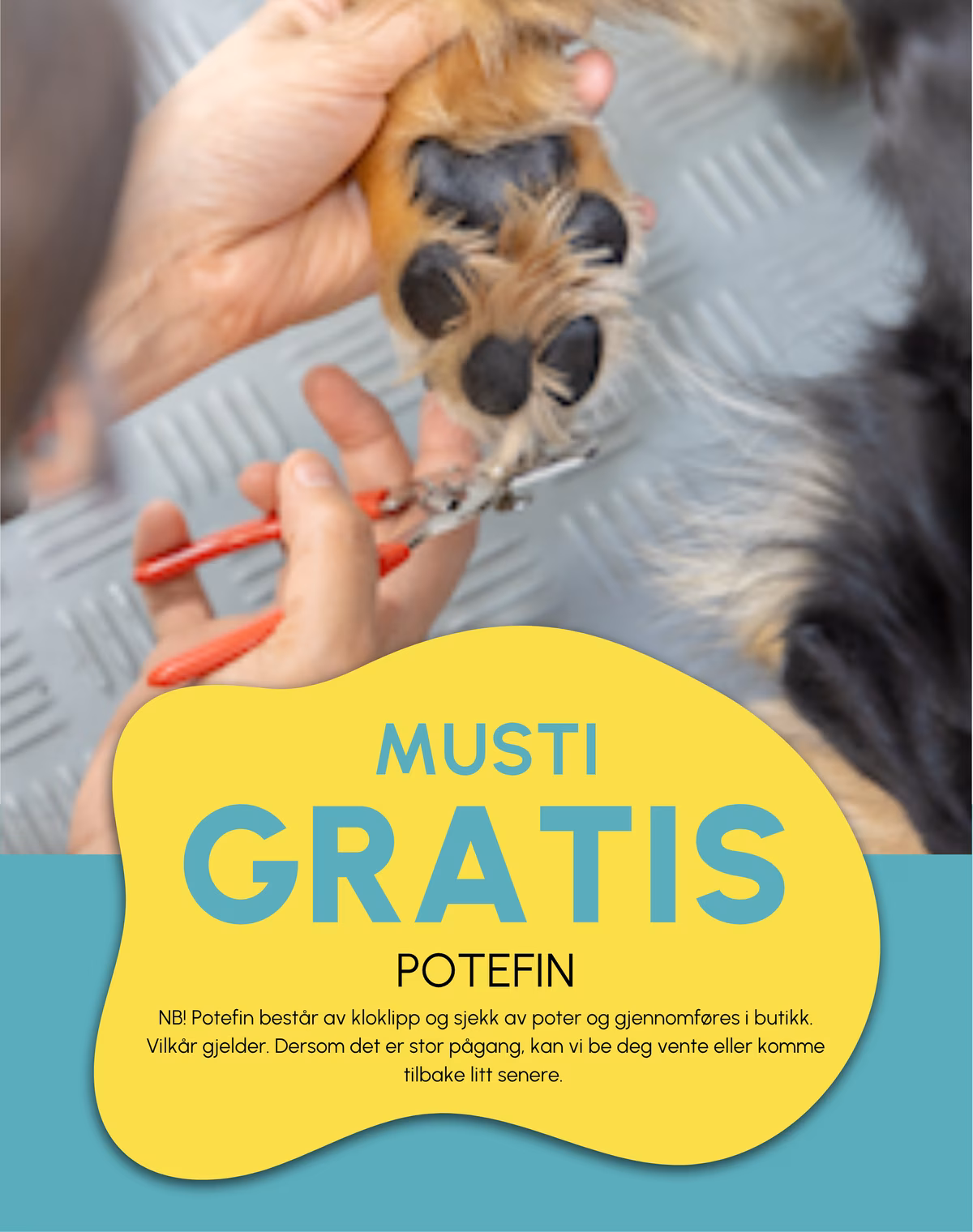 Gratis potefin. NB! Potefin består av kloklipp og sjekk av poter og gjennomføres i butikk. Vilkår gjelder. Dersom det er stor pågang, kan vi be deg vente eller komme tilbake litt senere.